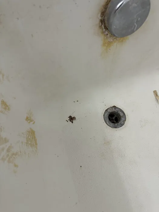 Sure Fire Bed Bug Heaters Picture 6