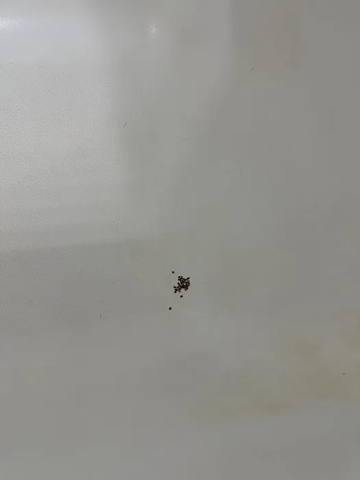 Sure Fire Bed Bug Heaters Picture 8