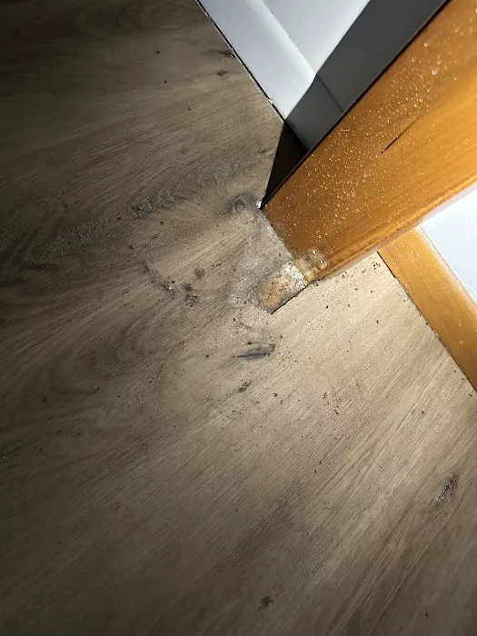 Sure Fire Bed Bug Heaters Picture 7