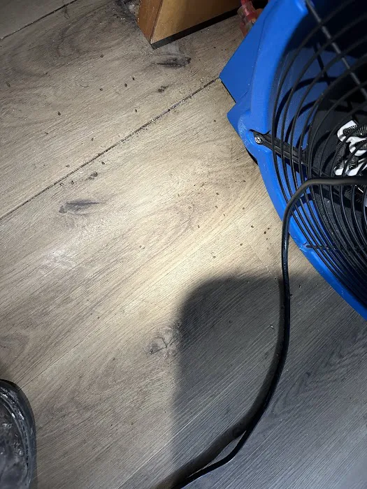 Sure Fire Bed Bug Heaters Picture 10