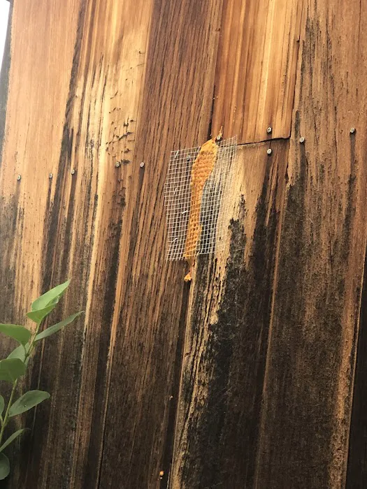 Stewart Pest and Mosquito Control Picture 1