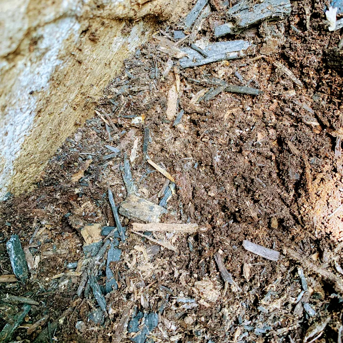 Nance Pest Control Picture 10