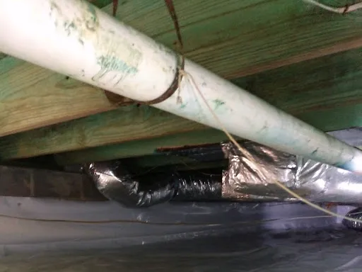 Nance Pest Control Picture 7