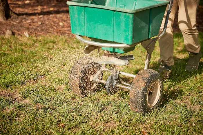 Virginia Green Lawn Care Picture 8