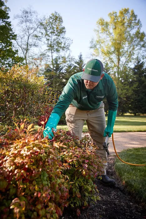 Virginia Green Lawn Care Picture 10