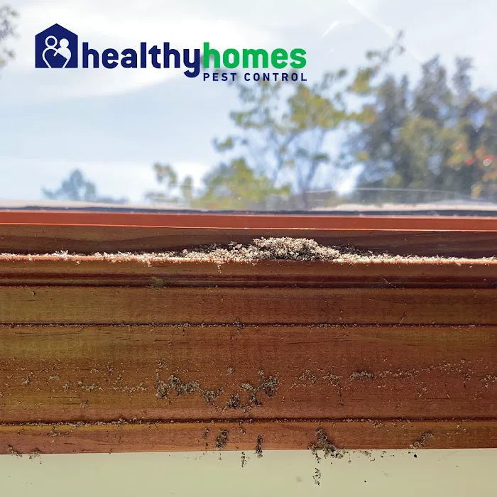 Healthy Homes Pest Control Picture 9