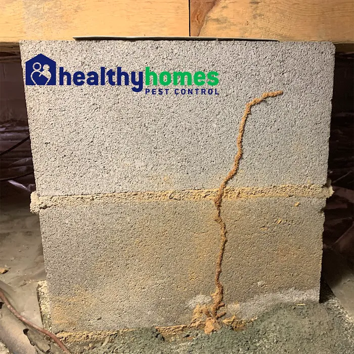 Healthy Homes Pest Control Picture 8