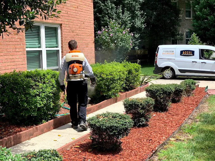 Accel Pest & Termite Control Picture 3