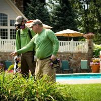Mosquito Squad & Pest Control of Hampton Roads ico