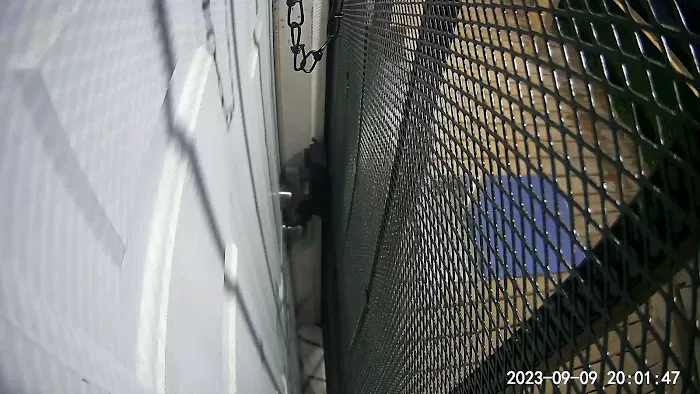 Alpha Pest Control Picture 6