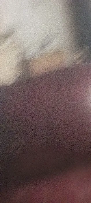 Alpha Pest Control Picture 10