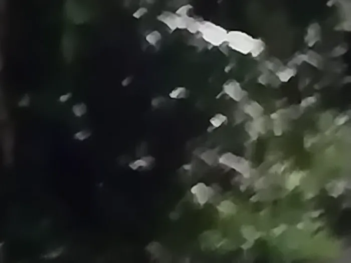 Alpha Pest Control Picture 4
