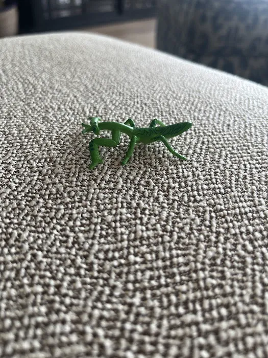 Lakewood Exterminating Picture 10