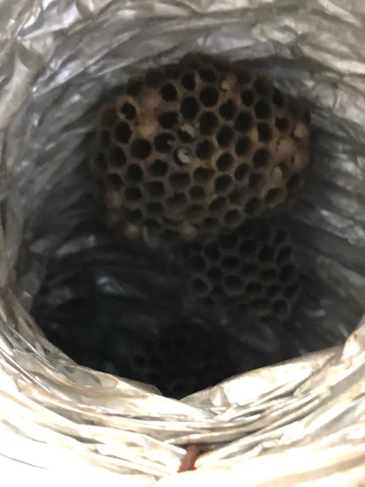 Kreshco Pest Control Picture 8