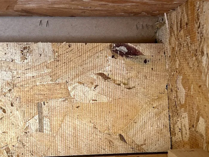 Bed Bug BBQ - Cleveland, OH - Bed bug Removal, Extermination, Whole House Clean Out Picture 8