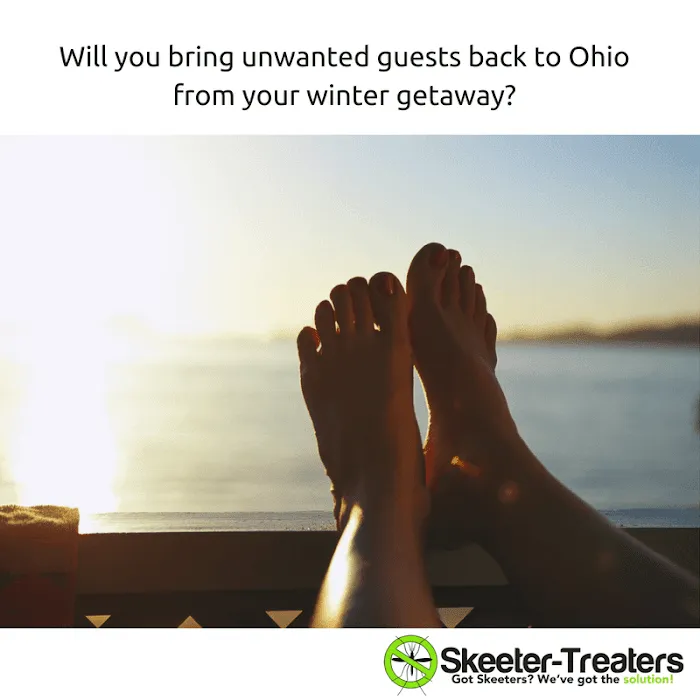 Skeeter-Treaters Picture 2