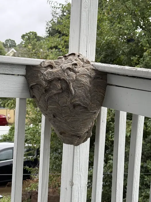 Medwick Pest Control Picture 4