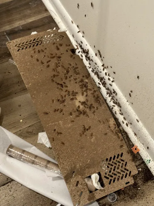 Medwick Pest Control Picture 7