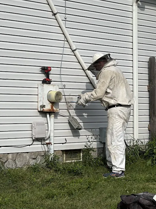 Medwick Pest Control Picture 9