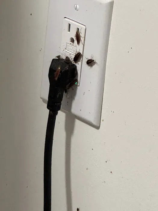 Medwick Pest Control Picture 5