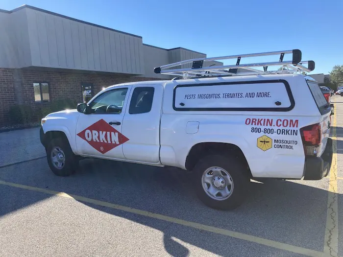 Orkin Picture 8