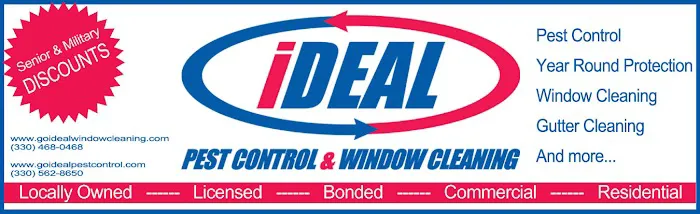 iDeal Pest Control & Window Cleaning Picture 1