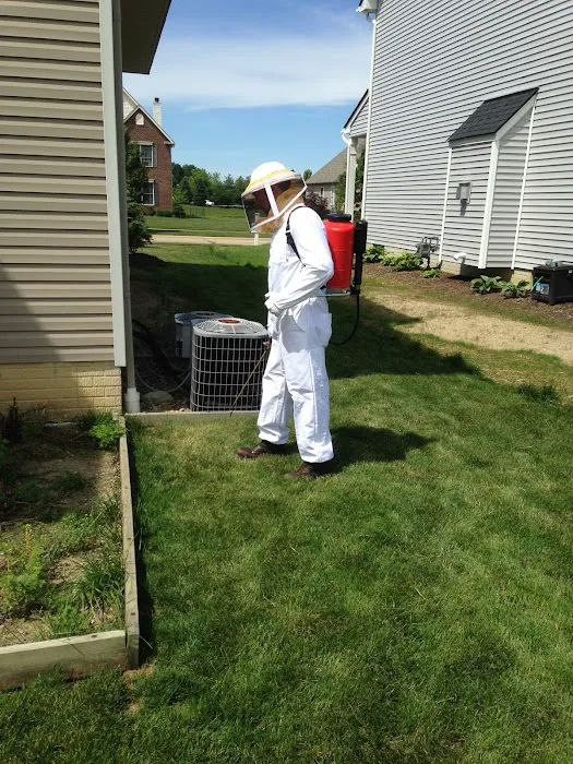 Express Pest Control Picture 2