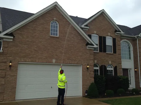 Express Pest Control Picture 6