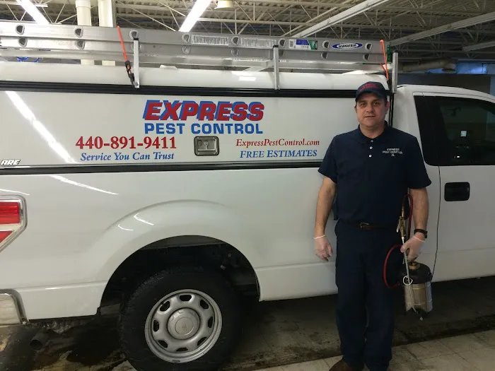 Express Pest Control Picture 5