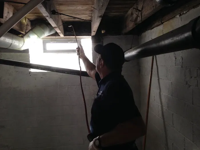 Express Pest Control Picture 8