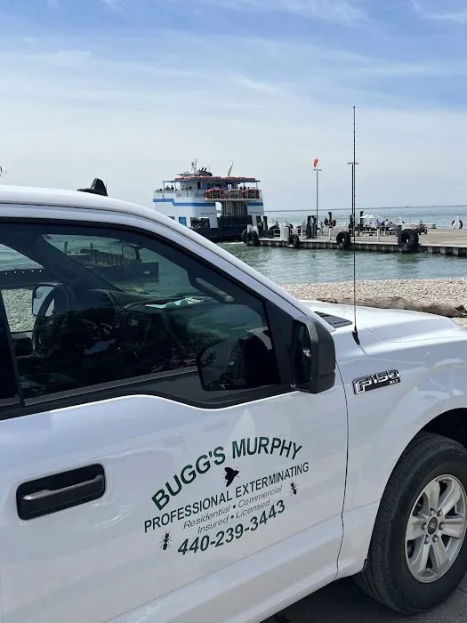 Bugg's Murphy Professional Exterminating Picture 4
