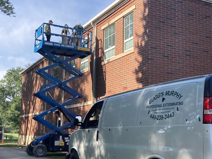 Bugg's Murphy Professional Exterminating Picture 7