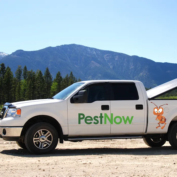 PestNow Picture 8
