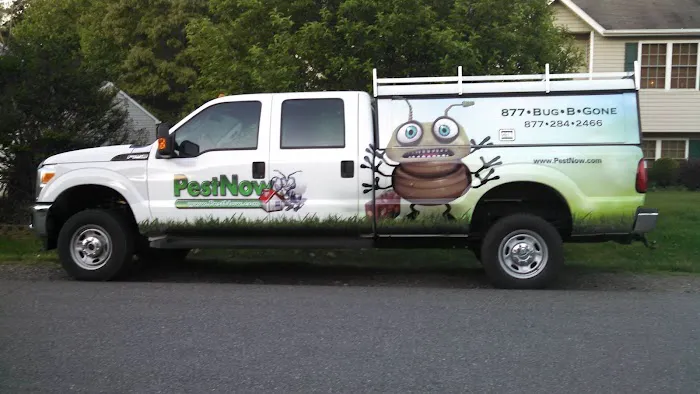 PestNow of Central Virginia | Ruther Glen Picture 1