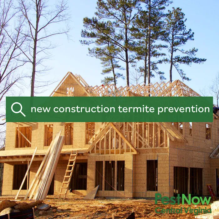 PestNow of Central Virginia | Ruther Glen Picture 10