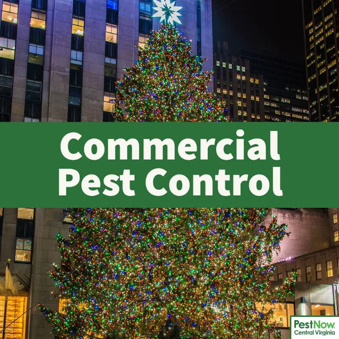 PestNow of Central Virginia | Ruther Glen Picture 5