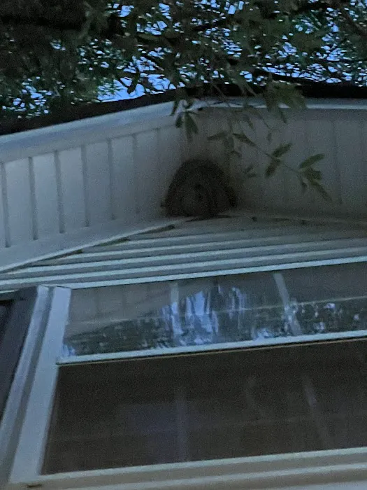 PestNow of Central Virginia | Ruther Glen Picture 2