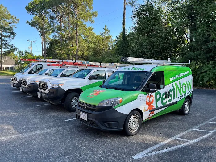 PestNow of Central Virginia | Ruther Glen Picture 9