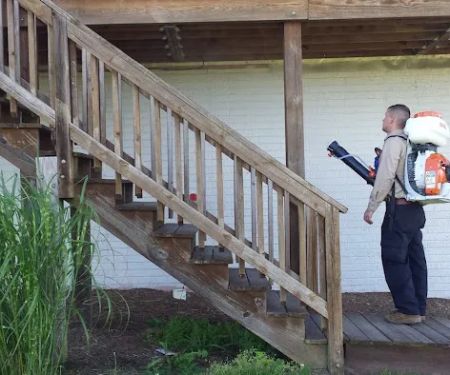 Bug Busters Pest Control Services