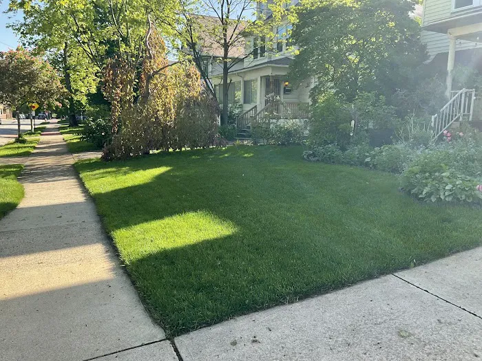 Best Greening Services Picture 10