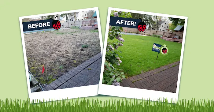 Best Greening Services Picture 3