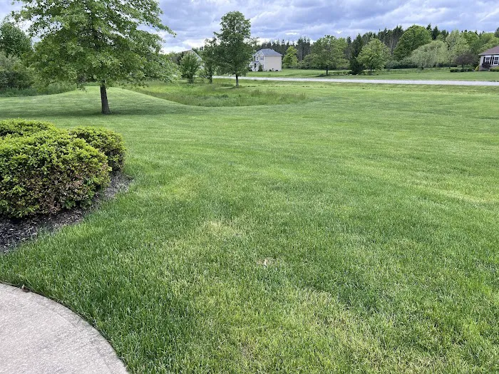 Best Greening Services Picture 6