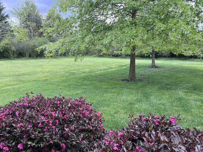 Best Greening Services Picture 4