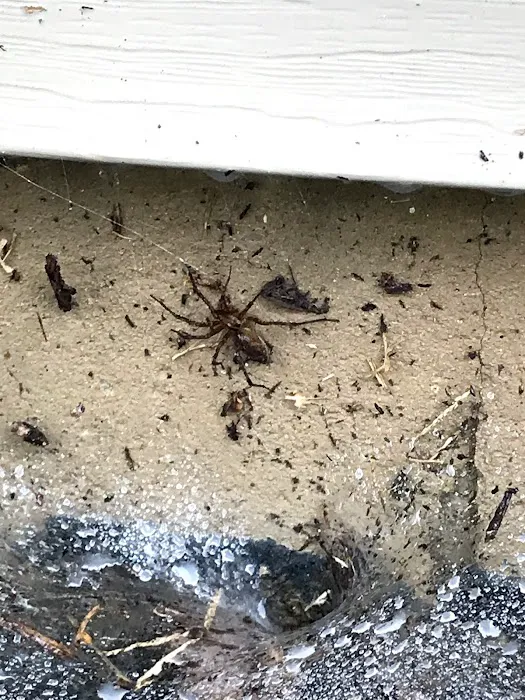 C & C Pest Control Picture 5