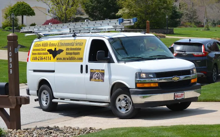 Cottom's Wildlife Removal Picture 4