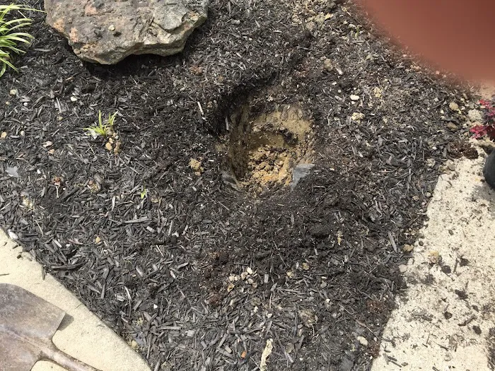 Cottom's Wildlife Removal Picture 10