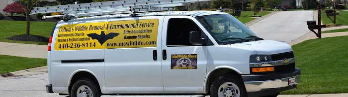 Cottom's Wildlife Removal Picture 7