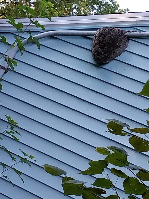 Prevent Pest Control Picture 1