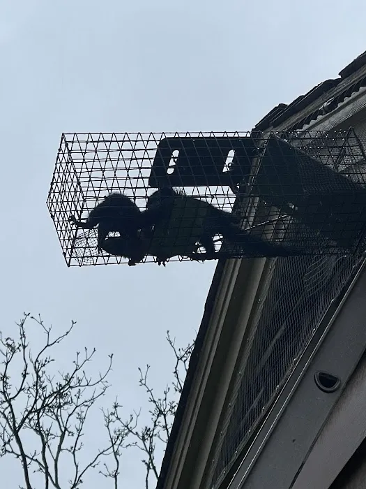 Alien animal/pest control Picture 3