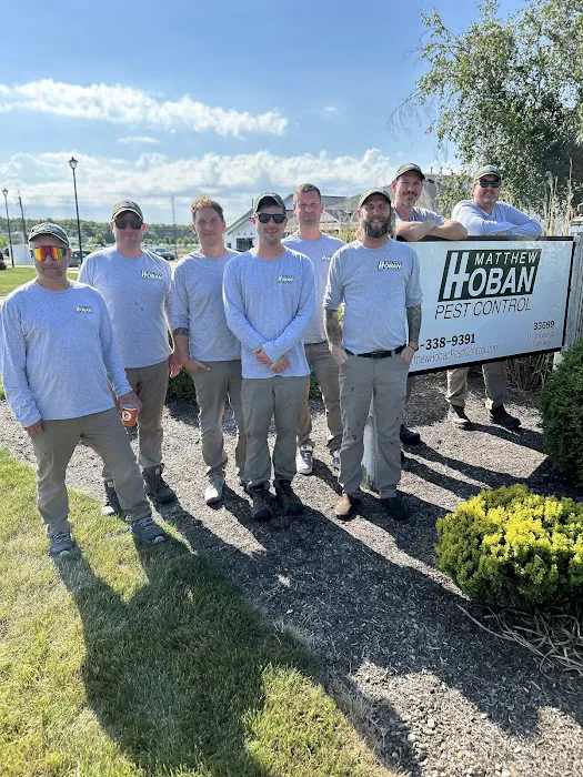 Matthew Hoban Pest Control Picture 1